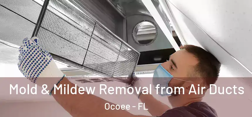  Mold & Mildew Removal from Air Ducts Ocoee - FL