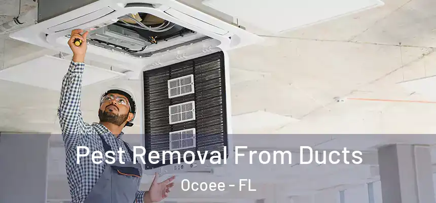  Pest Removal From Ducts Ocoee - FL