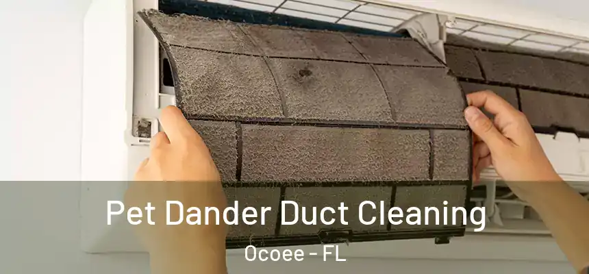 Pet Dander Duct Cleaning Ocoee - FL