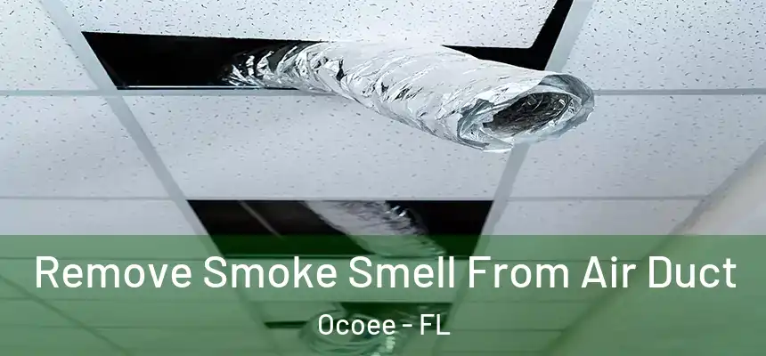  Remove Smoke Smell From Air Duct Ocoee - FL