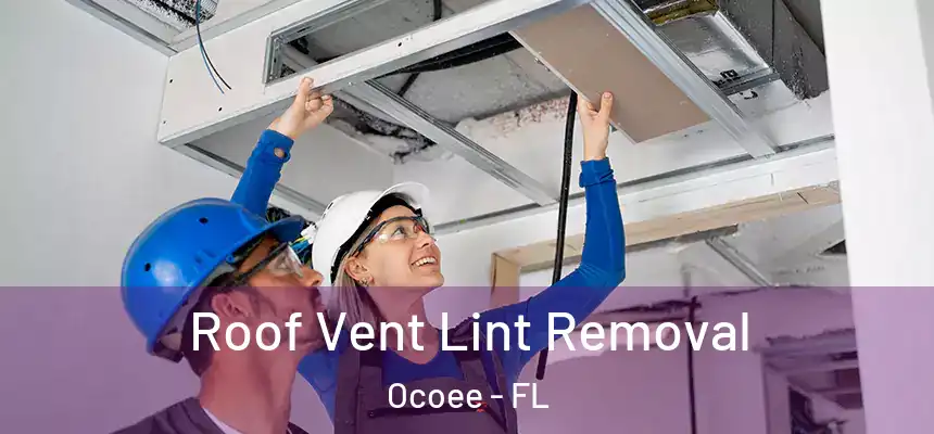  Roof Vent Lint Removal Ocoee - FL