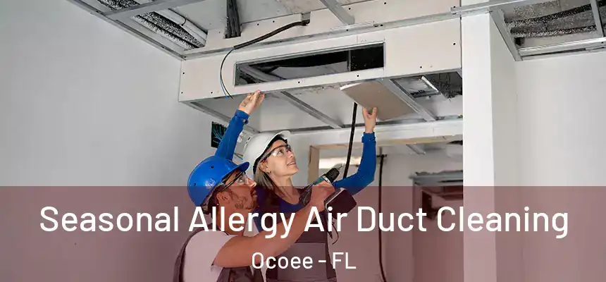 Seasonal Allergy Air Duct Cleaning Ocoee - FL