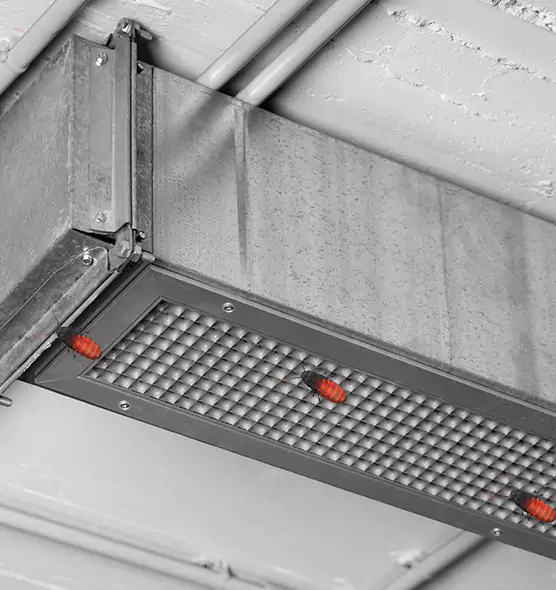 About Air Duct Cockroach Removal in Ocoee, FL