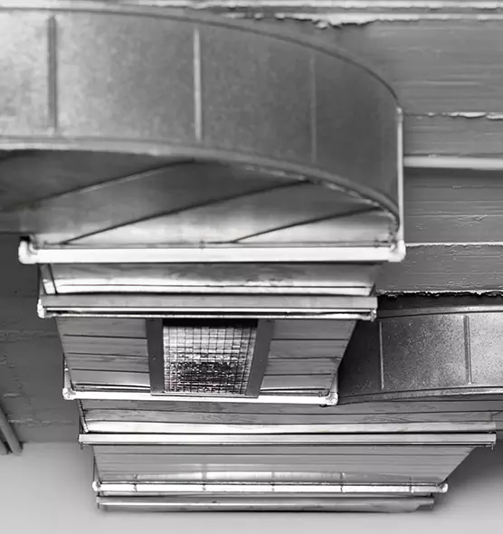 Professional Air Duct Pet Hair Removal in Ocoee, FL