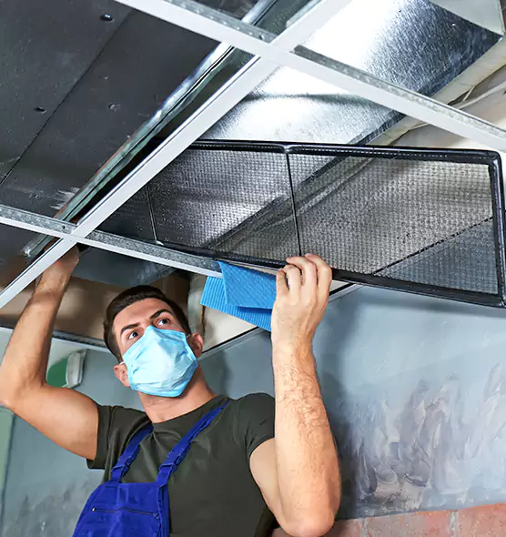 Professional Air Duct Pollen Cleaning in Ocoee, FL