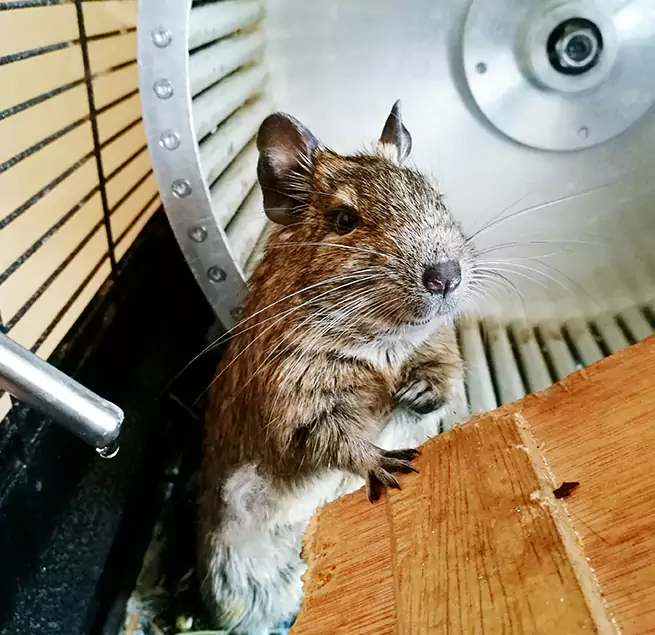 Why Homeowners & Businesses Trust Us Ocoee, FL?