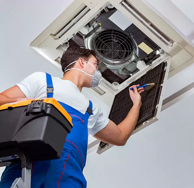 Why Homeowners & Businesses Trust Us in Ocoee, FL?