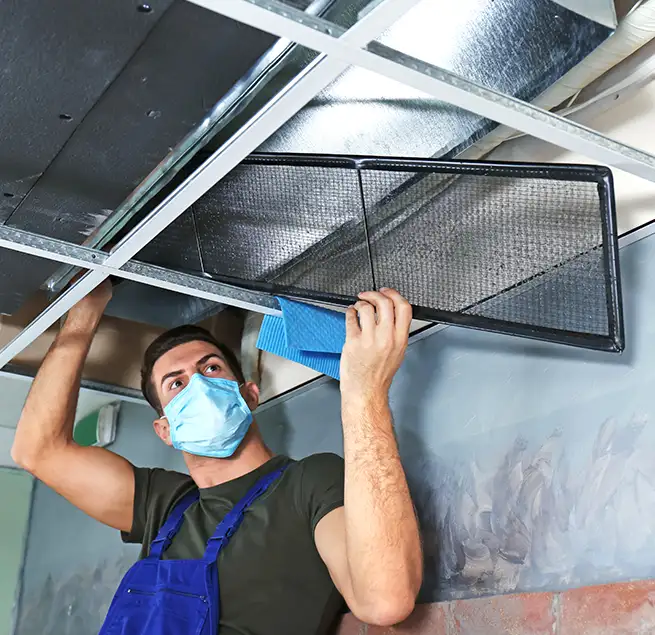 Why Homeowners & Businesses Trust Us in Ocoee, FL?