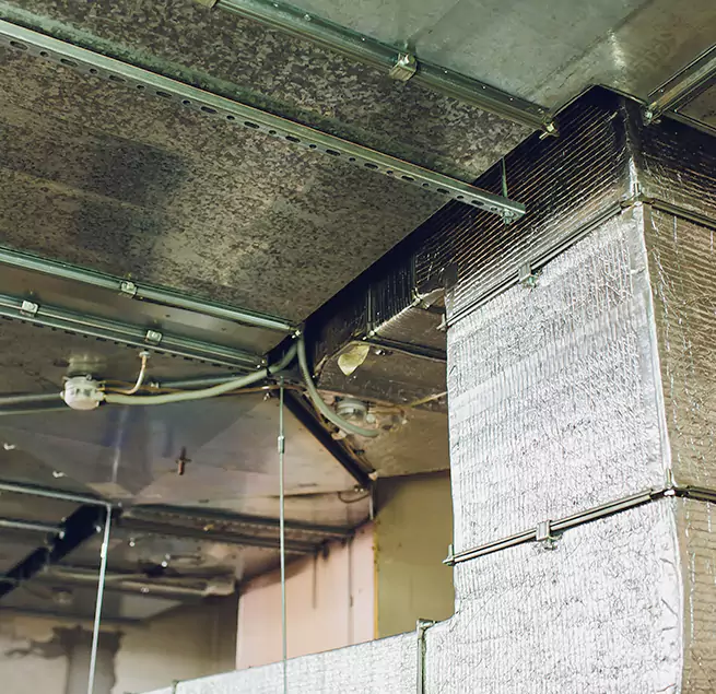 Why Homeowners & Businesses Trust Us in Ocoee, FL?