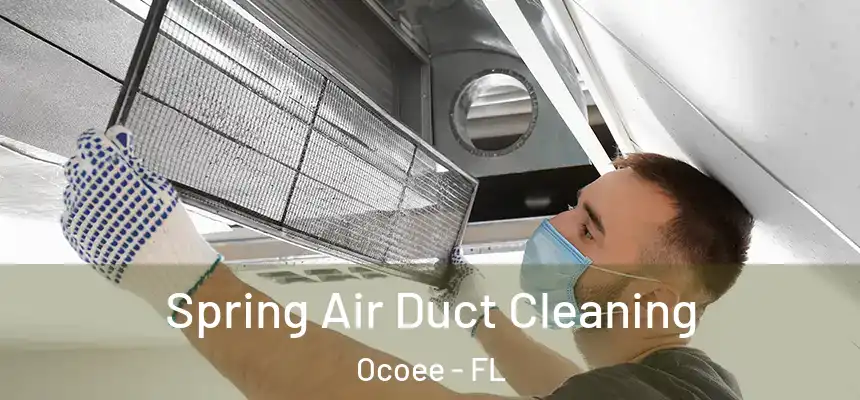  Spring Air Duct Cleaning Ocoee - FL