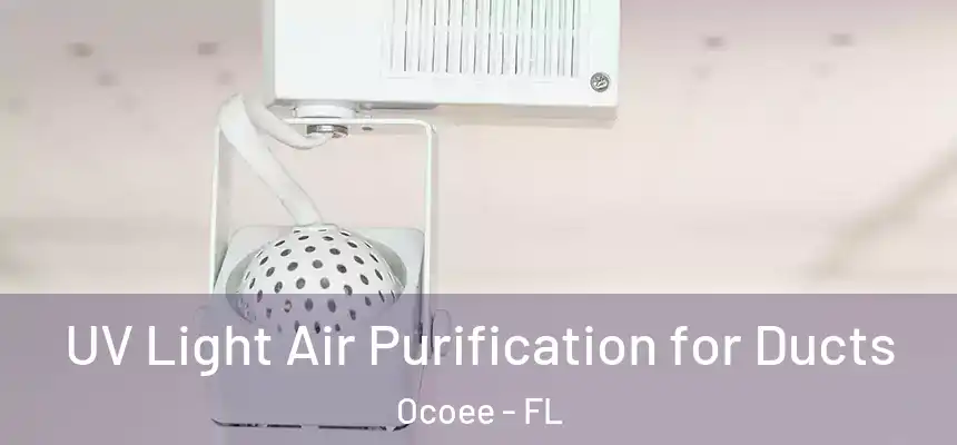  UV Light Air Purification for Ducts Ocoee - FL