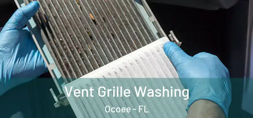 Vent Grille Washing Ocoee - FL
