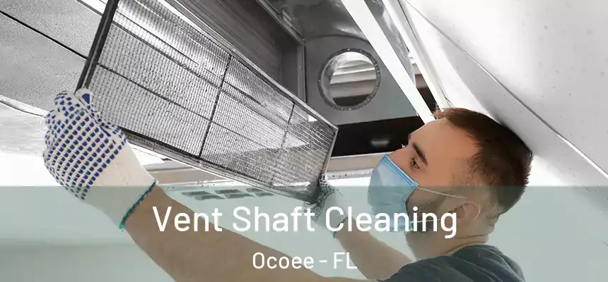 Vent Shaft Cleaning Ocoee - FL