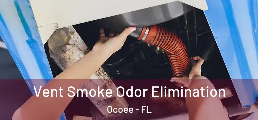  Vent Smoke Odor Elimination Ocoee - FL