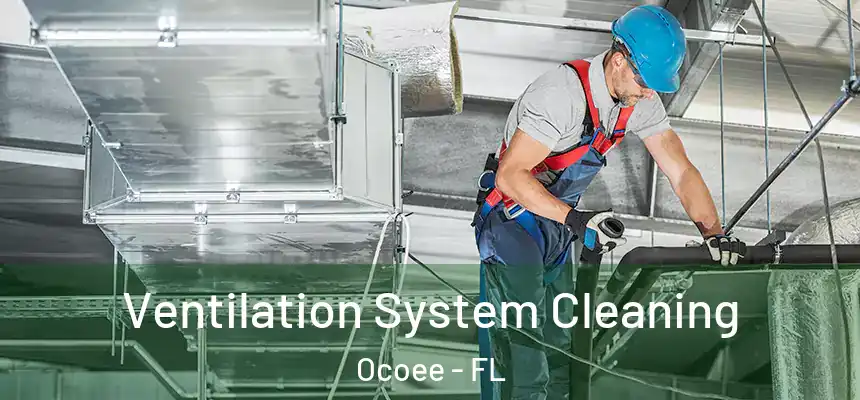 Ventilation System Cleaning Ocoee - FL