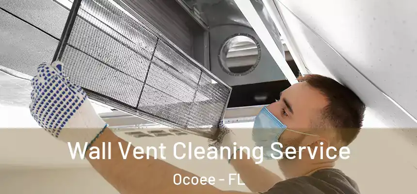  Wall Vent Cleaning Service Ocoee - FL